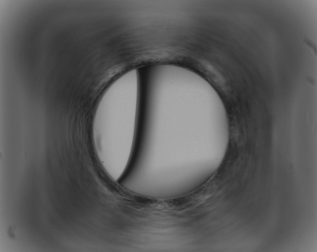 X0000097780115200803070922