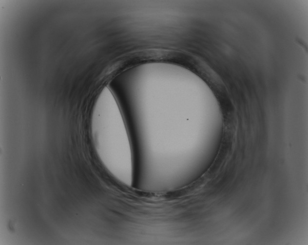 X0000097780119200803070921