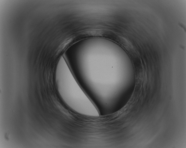 X0000097780120200803070921