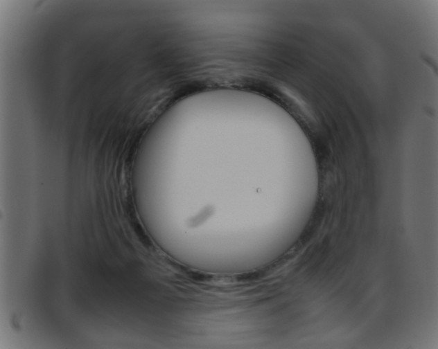 X0000097780121200803070921