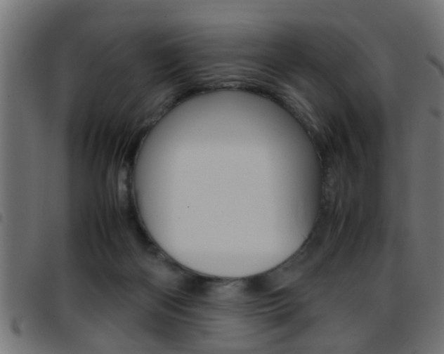 X0000097780122200803070921