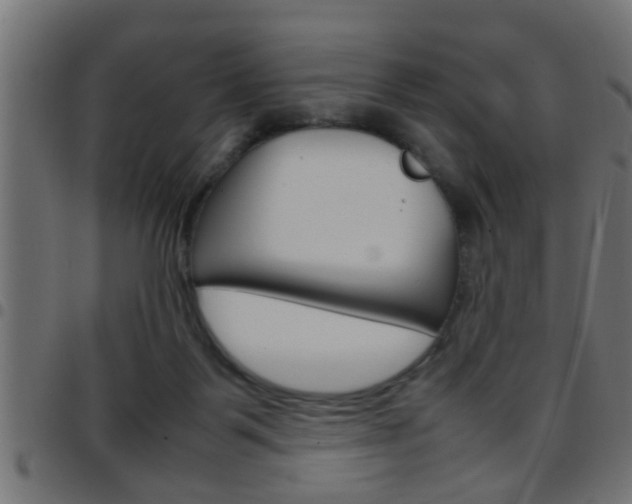 X0000097780123200803070921