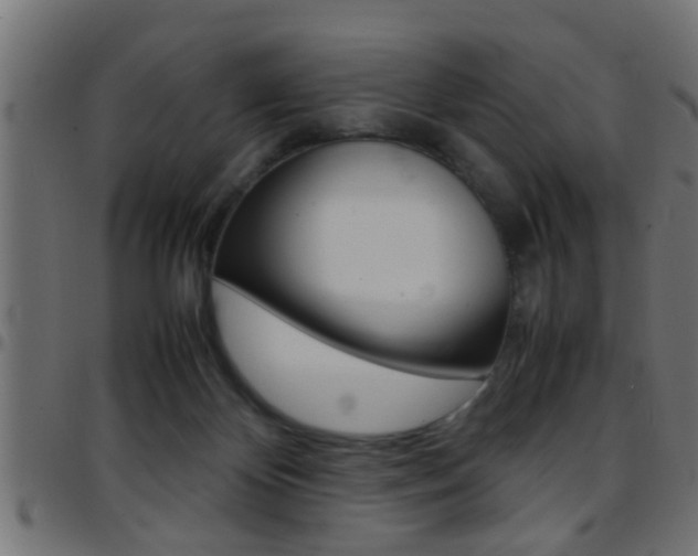 X0000097780124200803070921