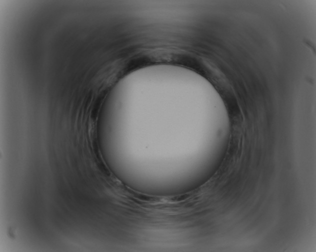 X0000097780125200803070921