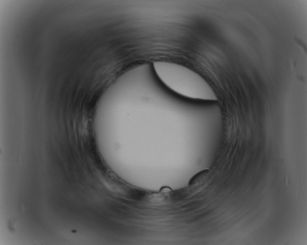 X0000097780126200803070921