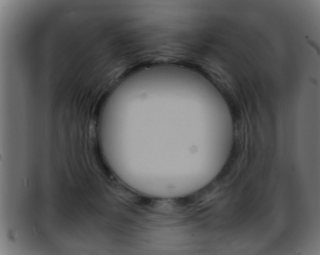 X0000097780127200803070921