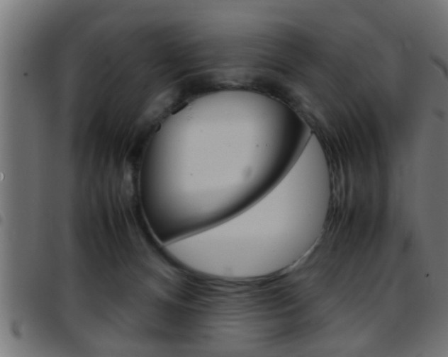 X0000097780128200803070921