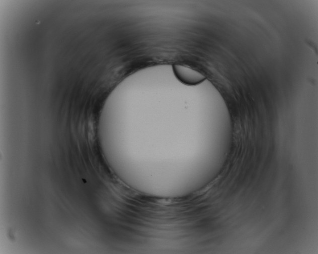 X0000097780130200803070921