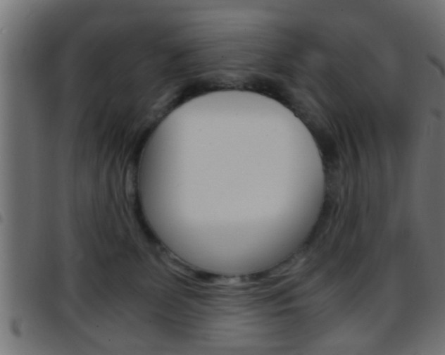 X0000097780131200803070921