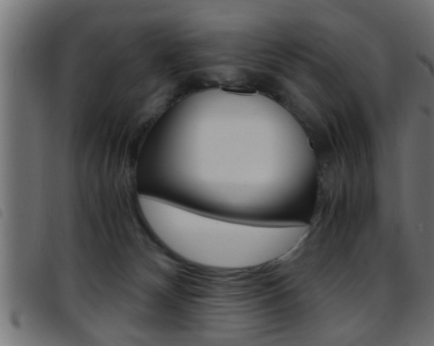 X0000097780132200803070921