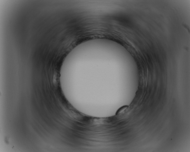 X0000097780134200803070921