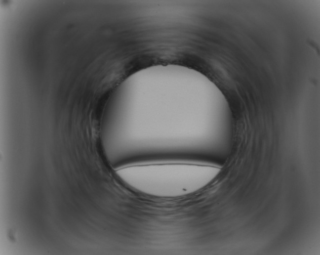 X0000097780135200803070921