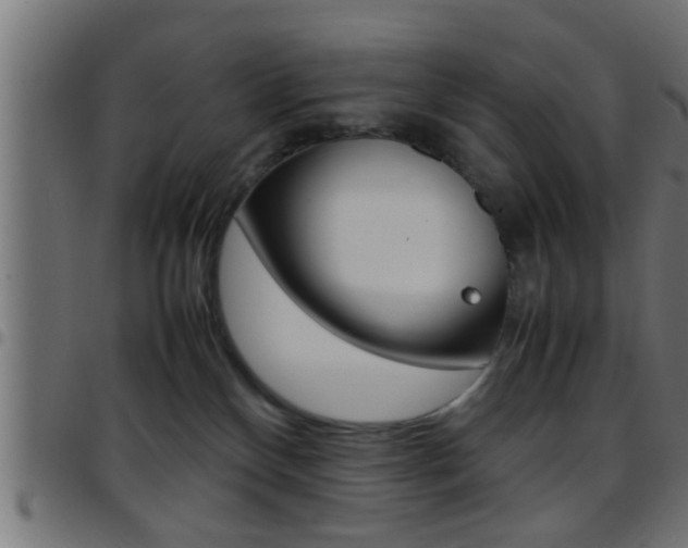 X0000097780136200803070921