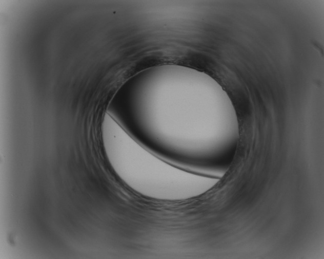 X0000097780137200803070921