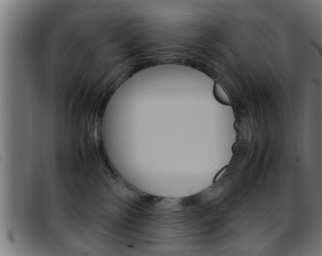 X0000097780138200803070921