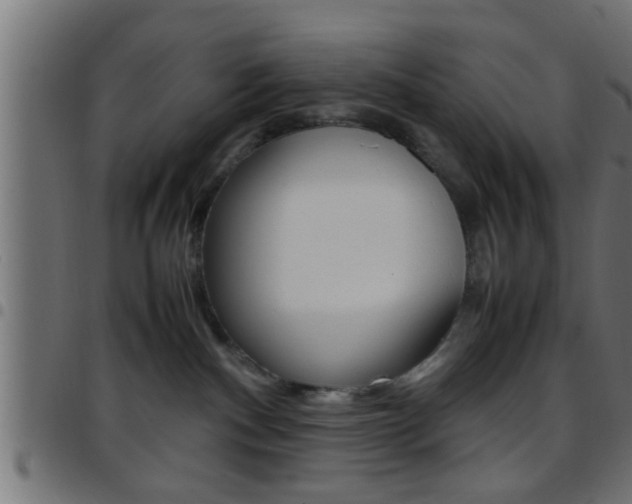 X0000097780140200803070921