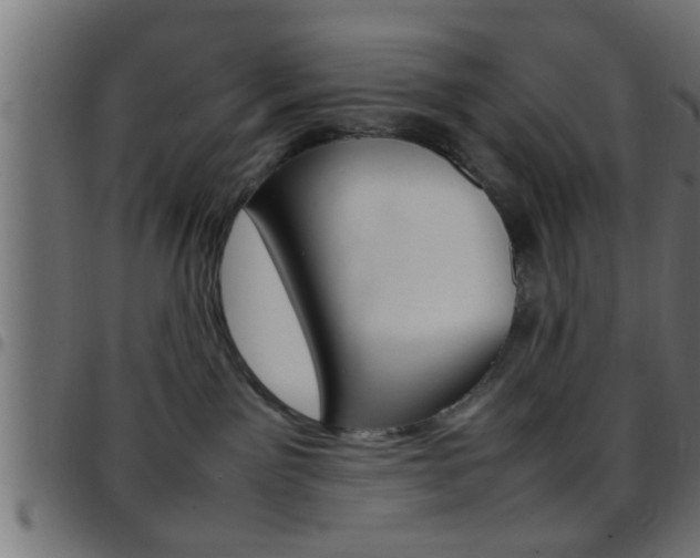 X0000097780141200803070921