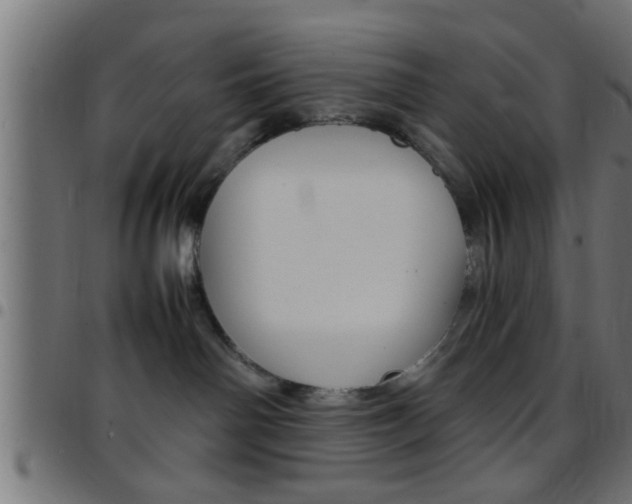 X0000097780142200803070921