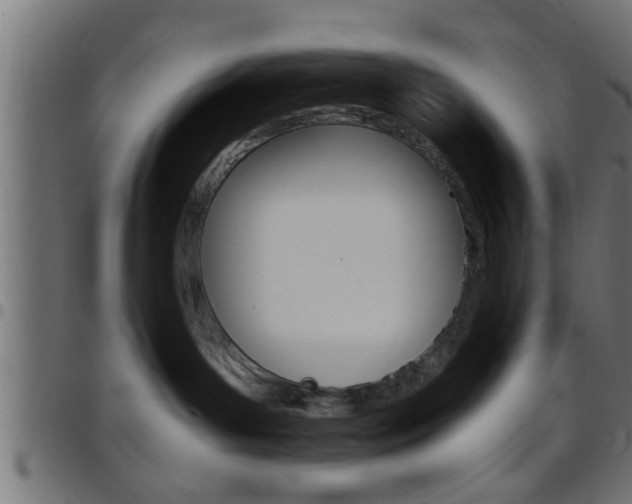 X0000097780143200803070921