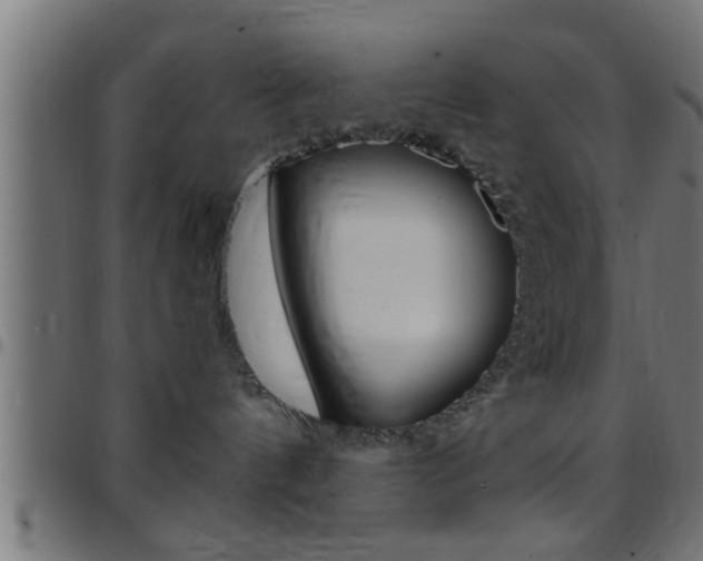 X0000097780144200803070921