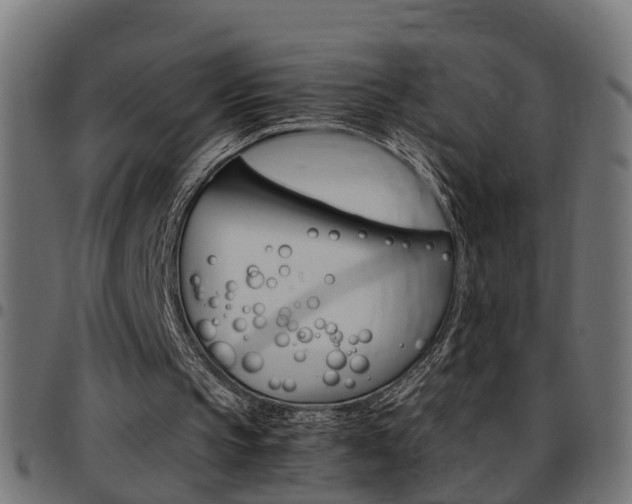 X0000097780145200803070920