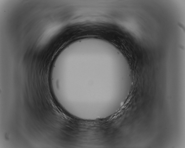 X0000097780146200803070921