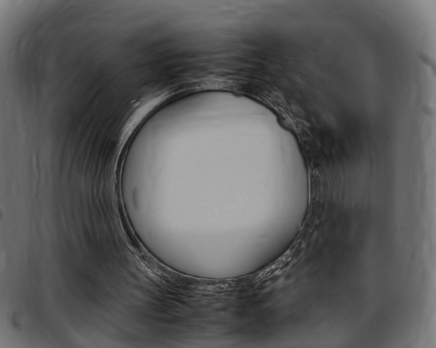 X0000097780147200803070921