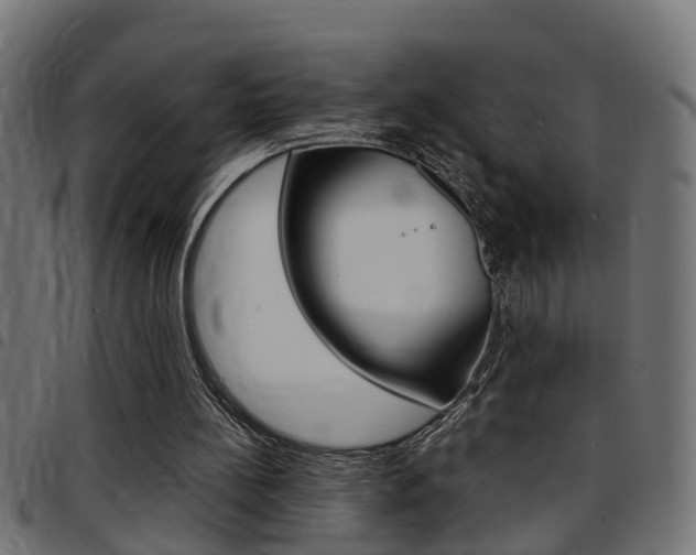 X0000097780148200803070921