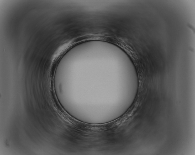 X0000097780149200803070921