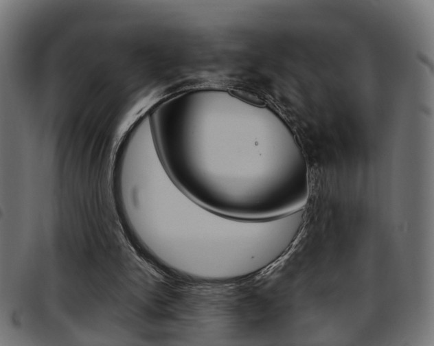 X0000097780150200803070921