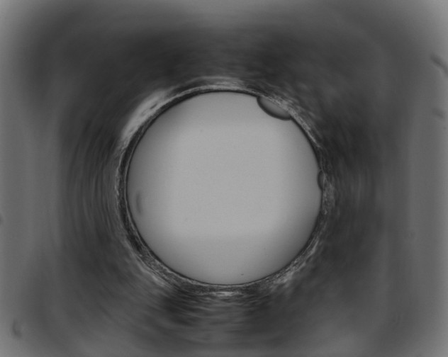 X0000097780151200803070921