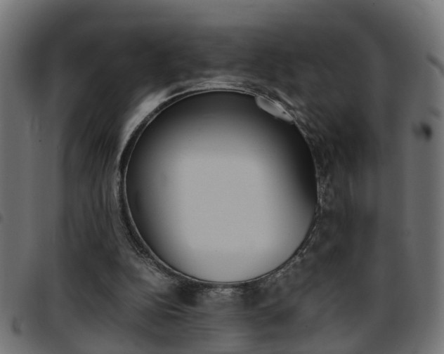 X0000097780152200803070921