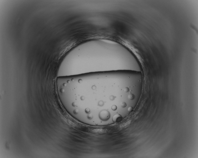 X0000097780153200803070921