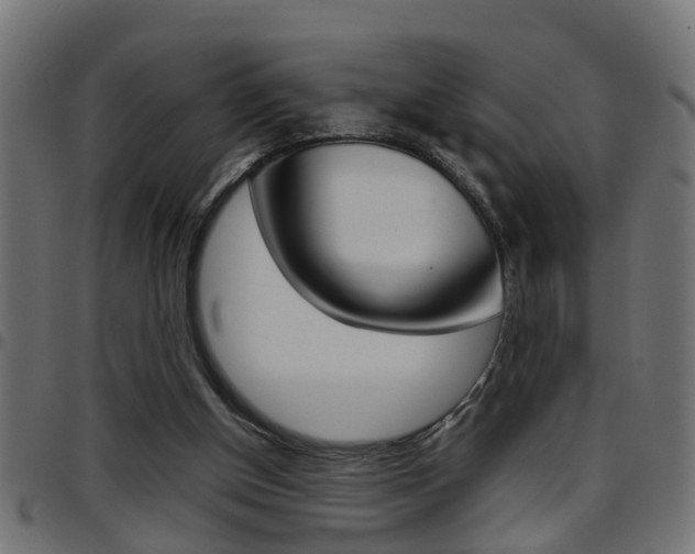 X0000097780154200803070921