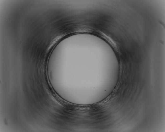 X0000097780155200803070921