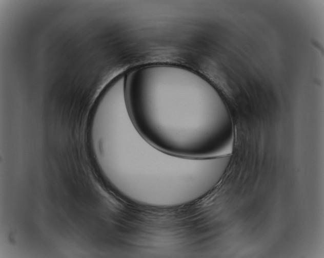 X0000097780156200803070921