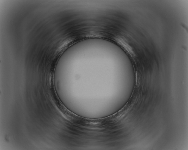 X0000097780157200803070921