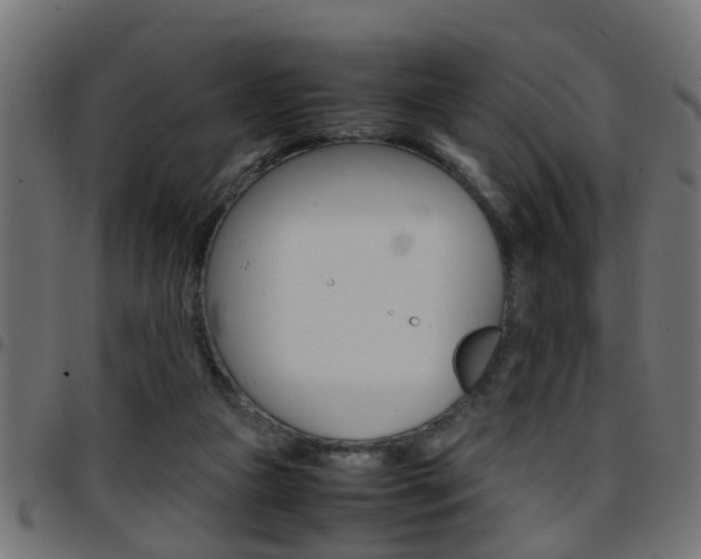 X0000097780161200803070921