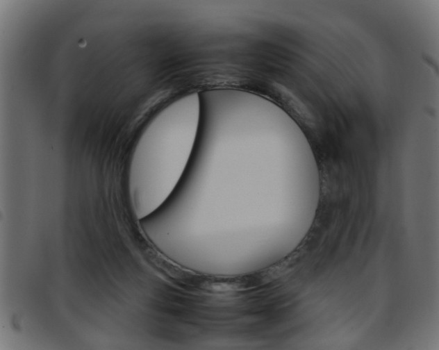 X0000097780163200803070921
