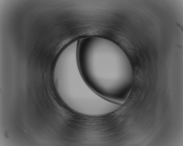 X0000097780164200803070921