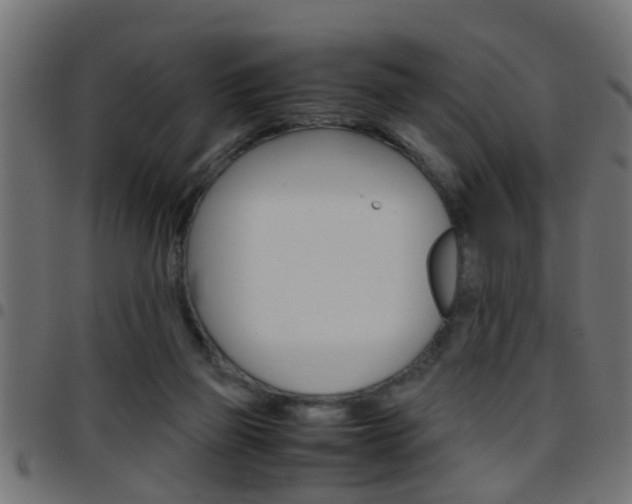 X0000097780165200803070921