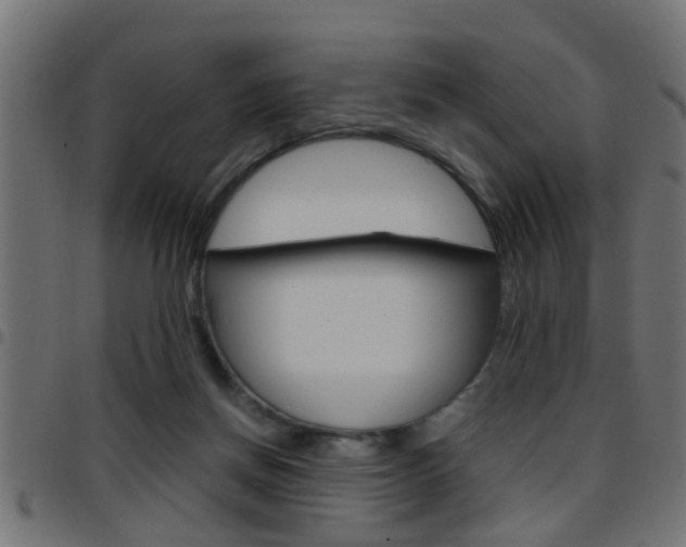 X0000097780166200803070921