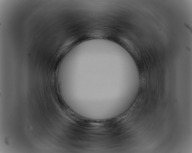 X0000097780167200803070921