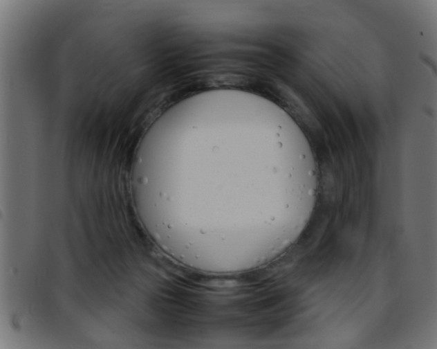 X0000097780169200803070921