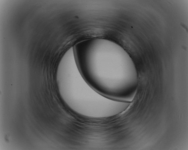 X0000097780170200803070921