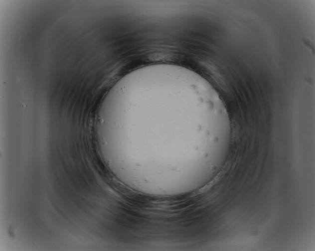 X0000097780171200803070921