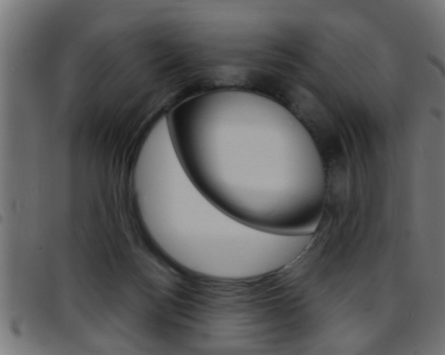 X0000097780172200803070921