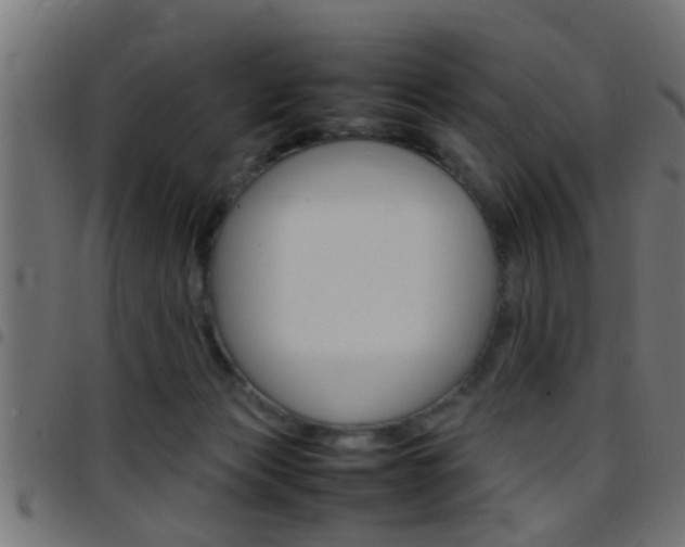 X0000097780173200803070921