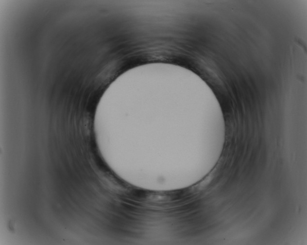 X0000097780174200803070921