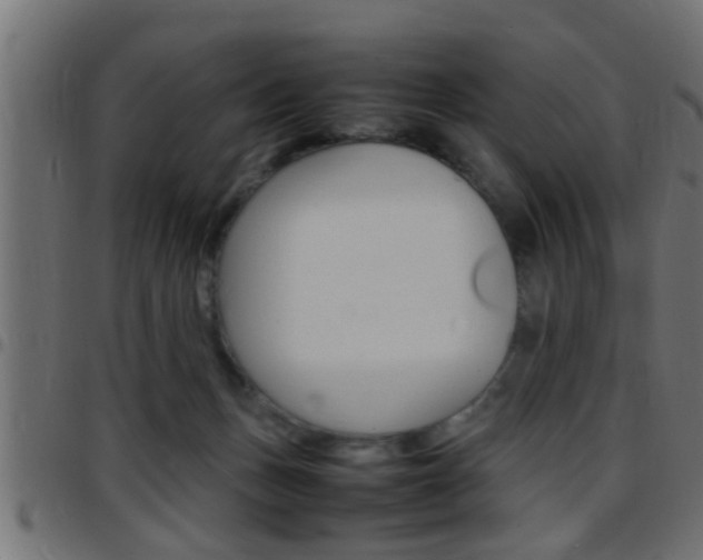 X0000097780175200803070921